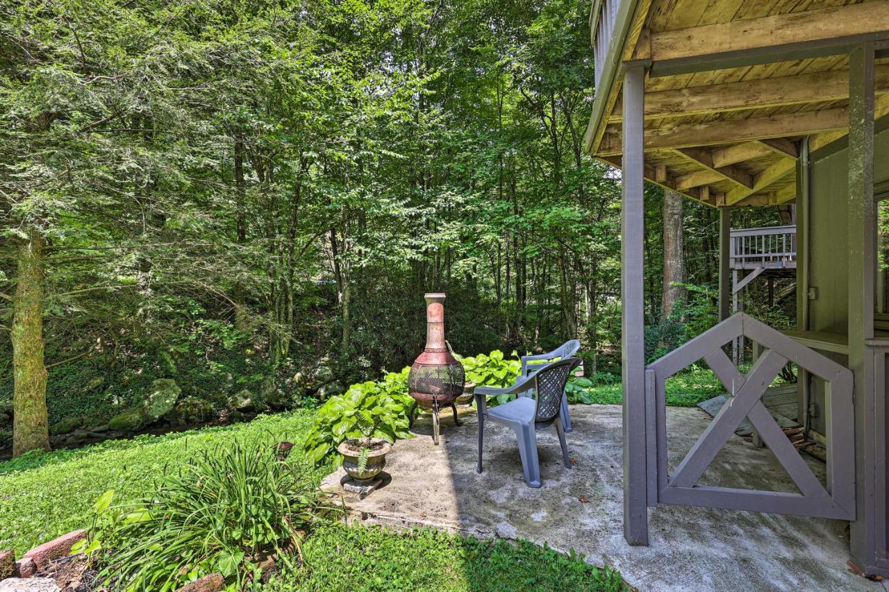 Creekside Roan Mountain Cabin Walk To Trails ภายนอก รูปภาพ