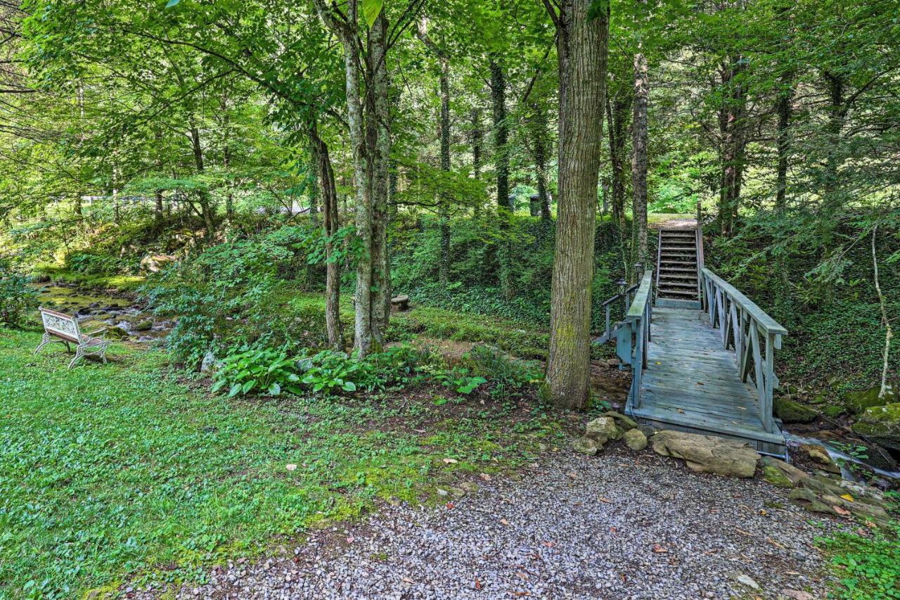 Creekside Roan Mountain Cabin Walk To Trails ภายนอก รูปภาพ