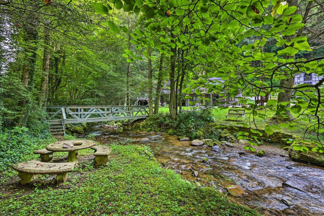 Creekside Roan Mountain Cabin Walk To Trails ภายนอก รูปภาพ