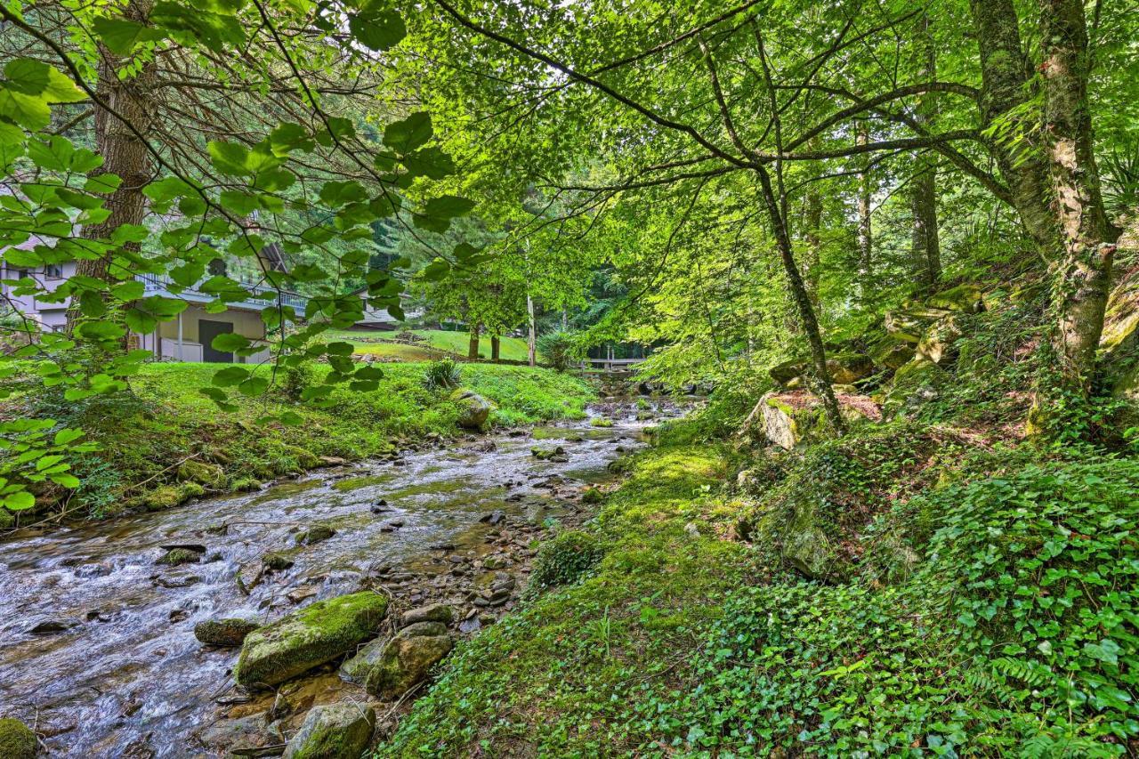 Creekside Roan Mountain Cabin Walk To Trails ภายนอก รูปภาพ